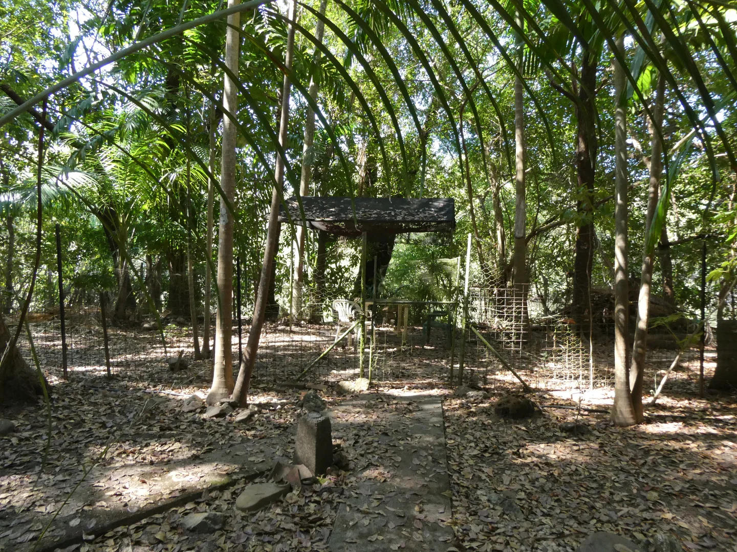 Additional image 23 of Bynoe NT 0822