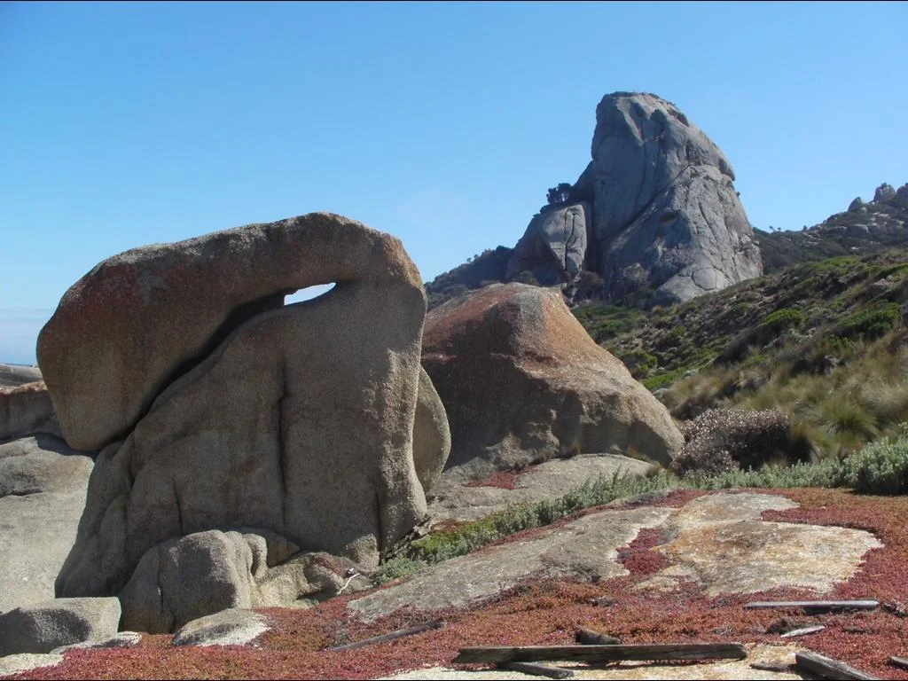 Additional image 6 of 1 Palana Road, Killiecrankie TAS 7255