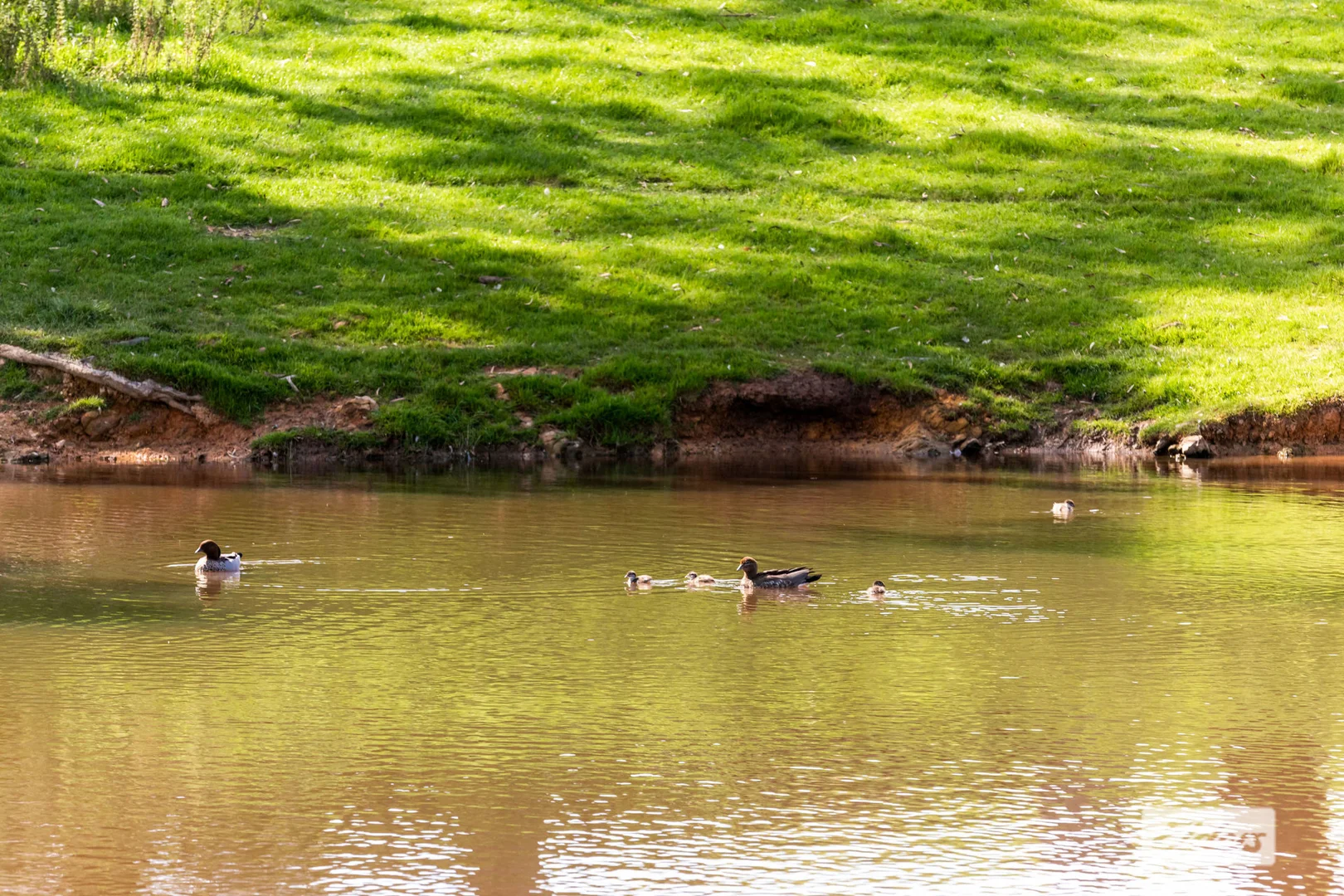 Additional image 4 of Heathcote-Redesdale Road, Mia Mia VIC 3444