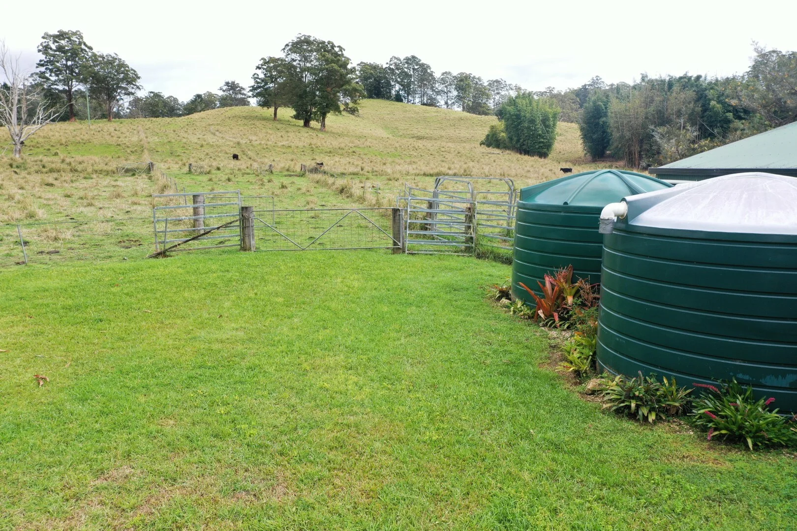 Additional image 31 of 66 Old Tweed Road, Wadeville NSW 2474