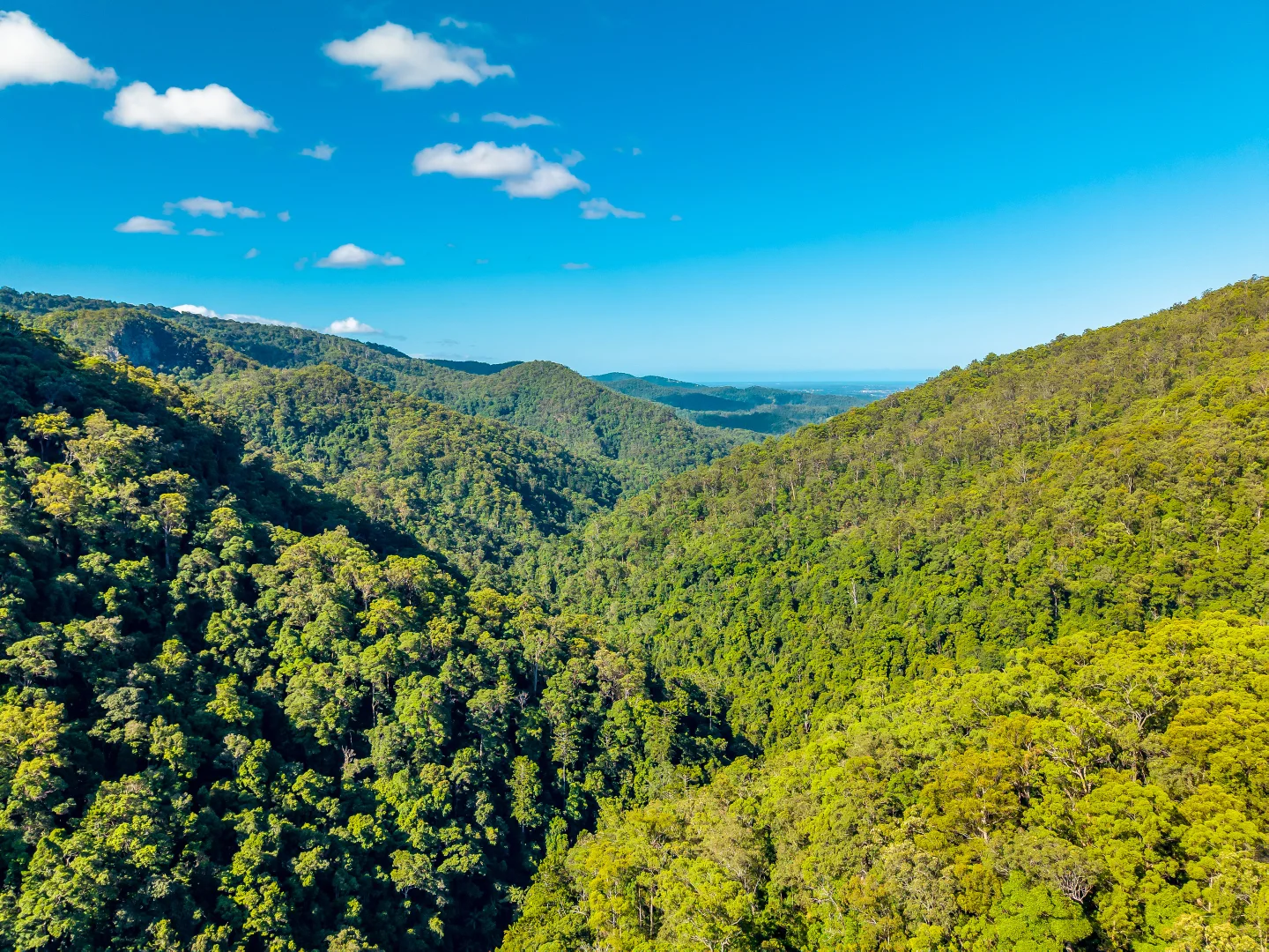 Additional image 44 of 196-276 Kaiser Road, Tamborine Mountain QLD 4272
