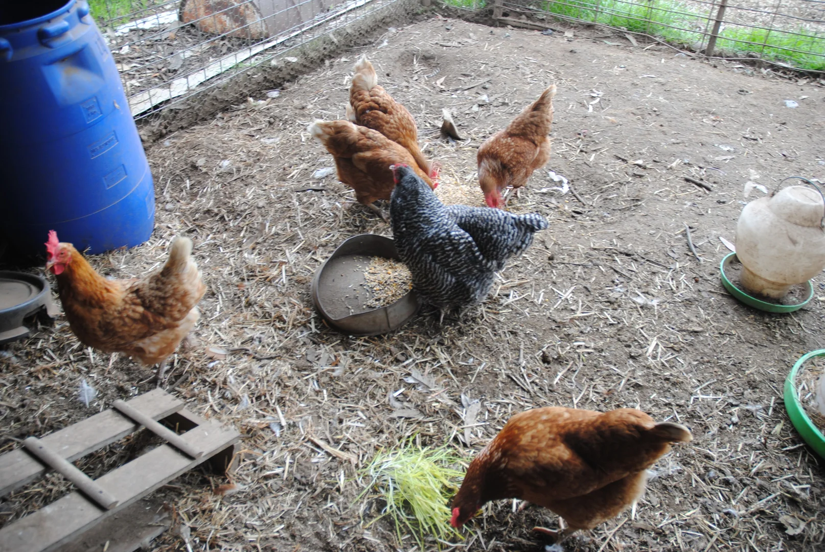 Additional image 54 of 1124 WARKTON ROAD, Coonabarabran NSW 2357