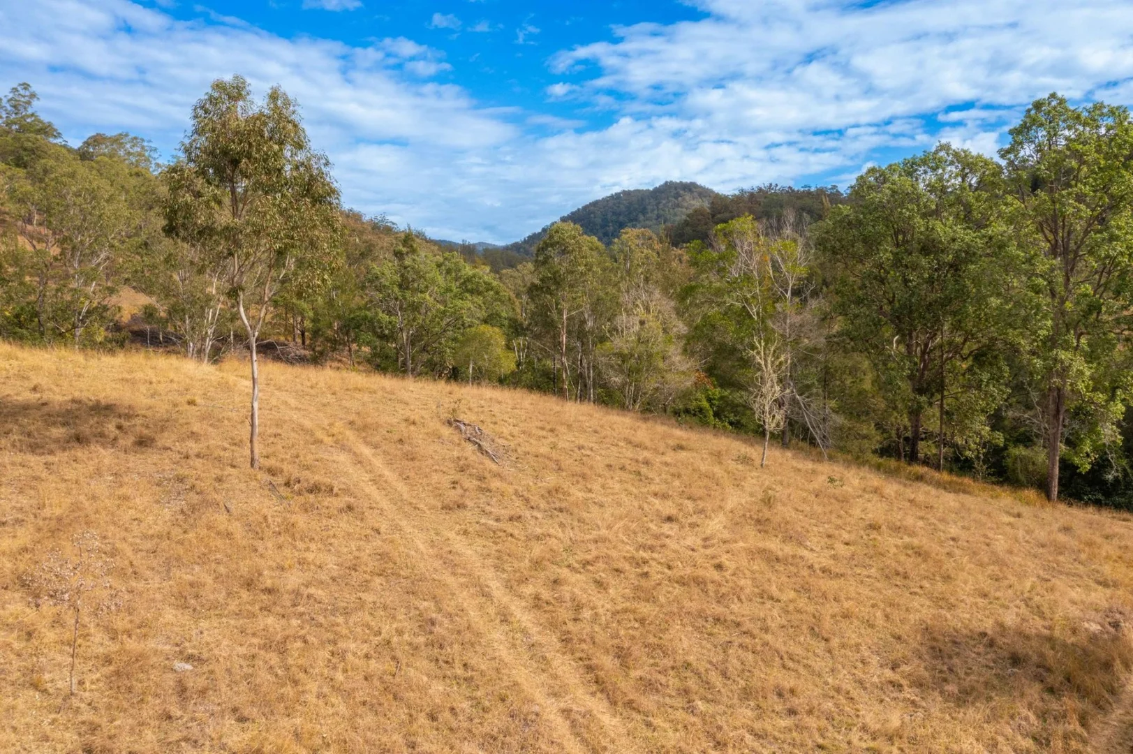 Additional image 15 of Lot 24 209 Tobins River Road, Mount Seaview NSW 2446