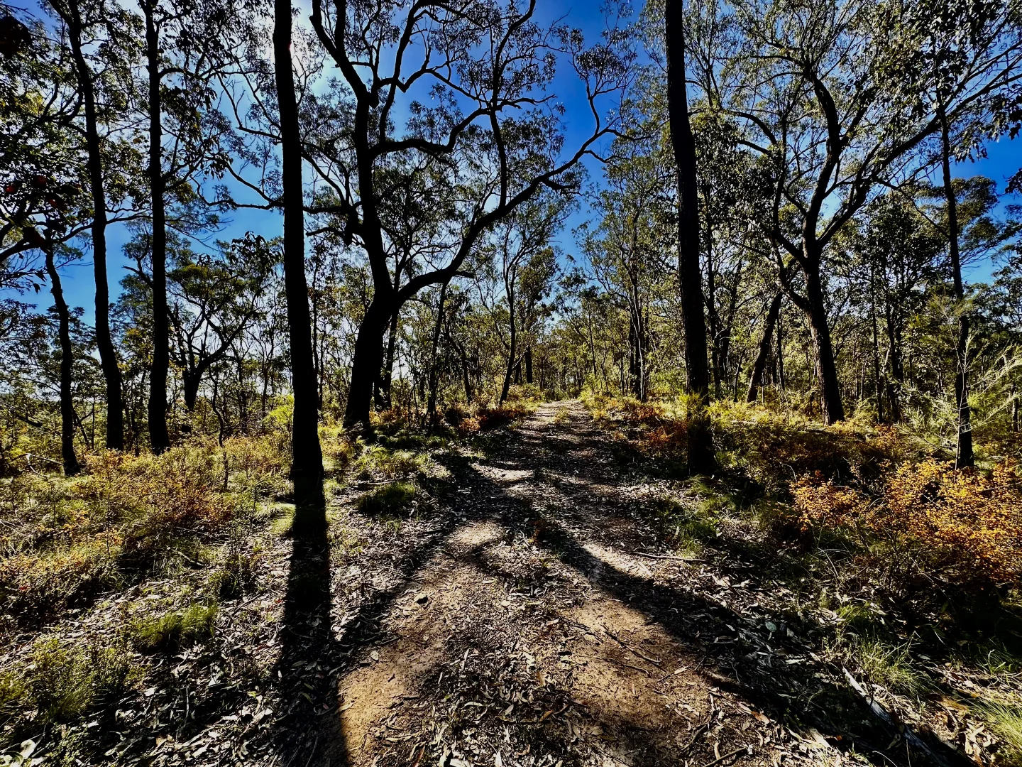 Additional image 22 of 3300 Great North Road, Wollombi NSW 2325