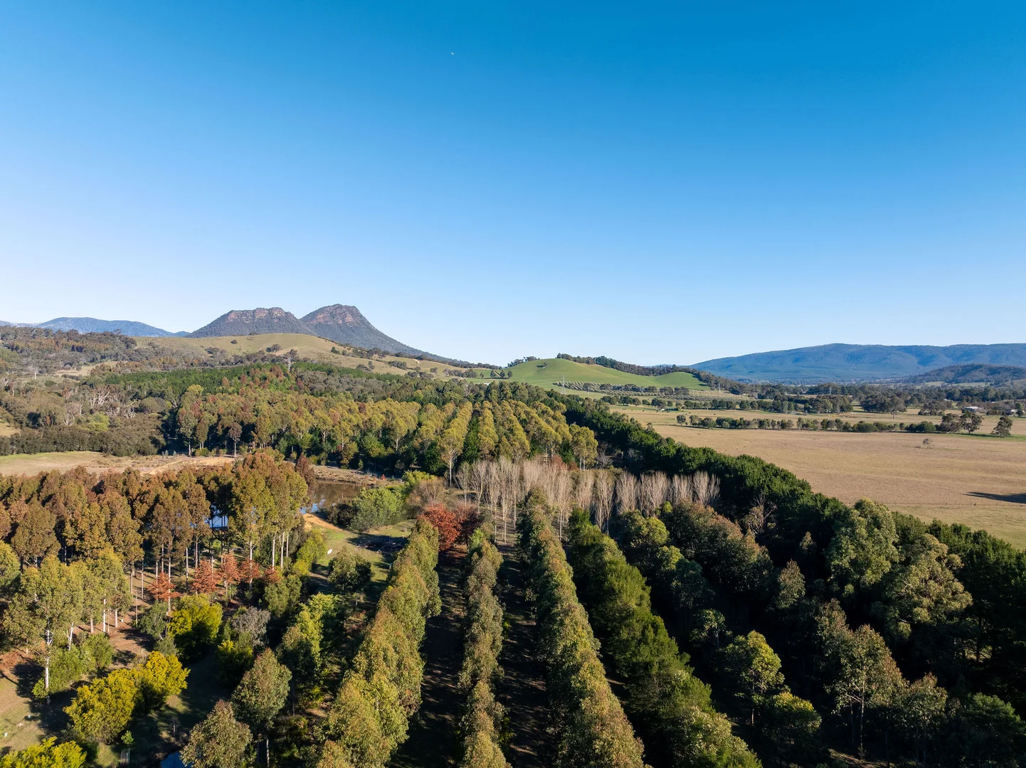 Additional image 9 of 252 Taggerty - Thornton Road, Taggerty VIC 3714