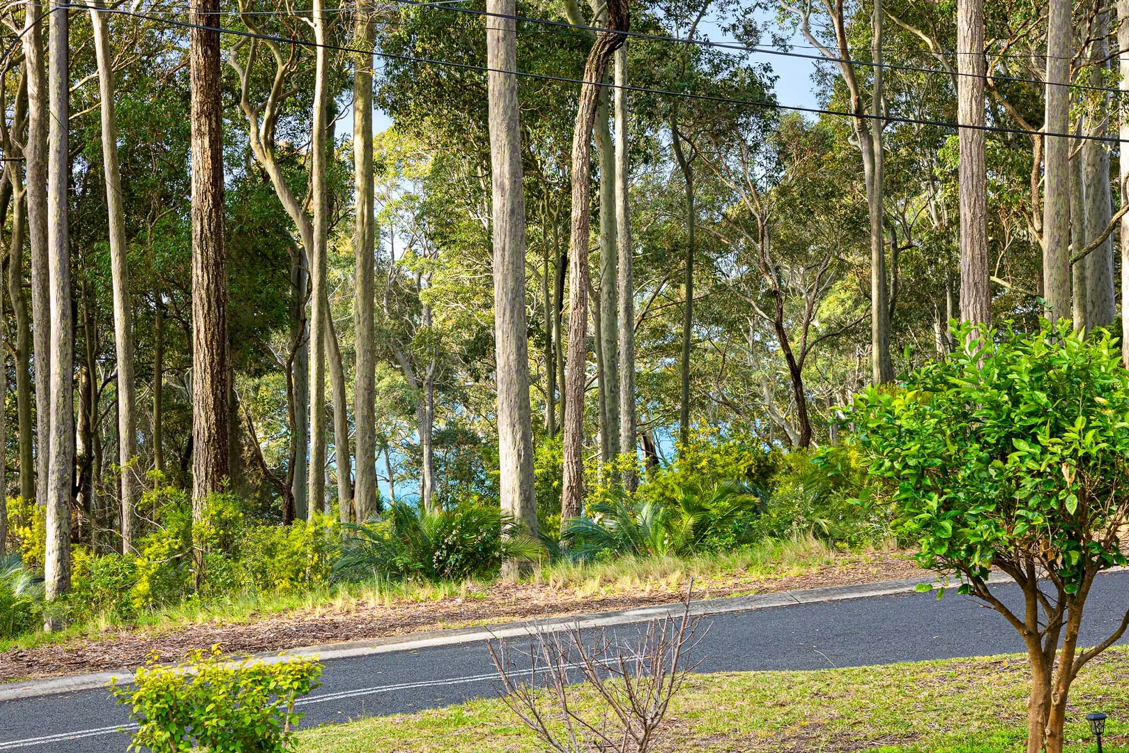 Additional image 26 of 1 Lilli Pilli Road, Lilli Pilli NSW 2536