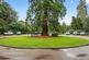 Additional image 11 of Grove Close, Epsom