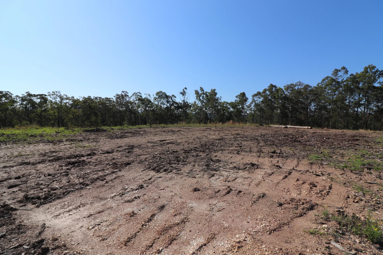 Additional image 14 of Lot 41 Collombatti Road, Collombatti NSW 2440