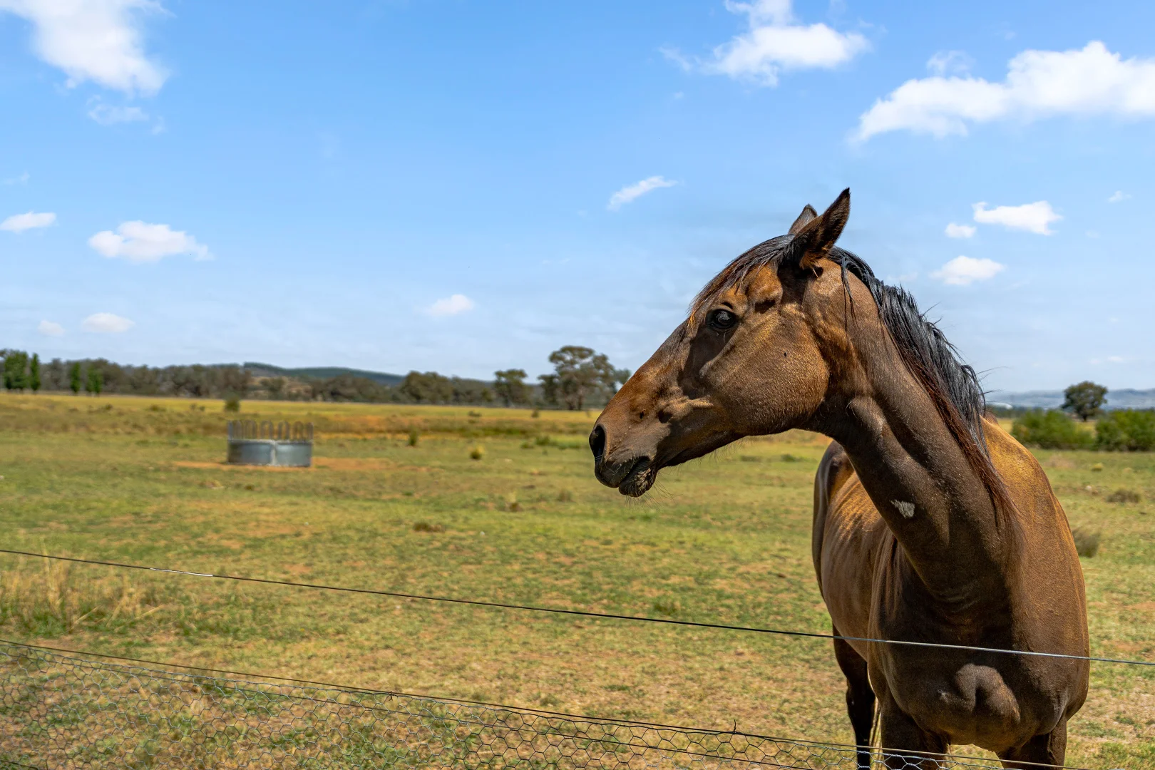 Additional image 97 of 14 Avonley Road, Majura ACT 2609
