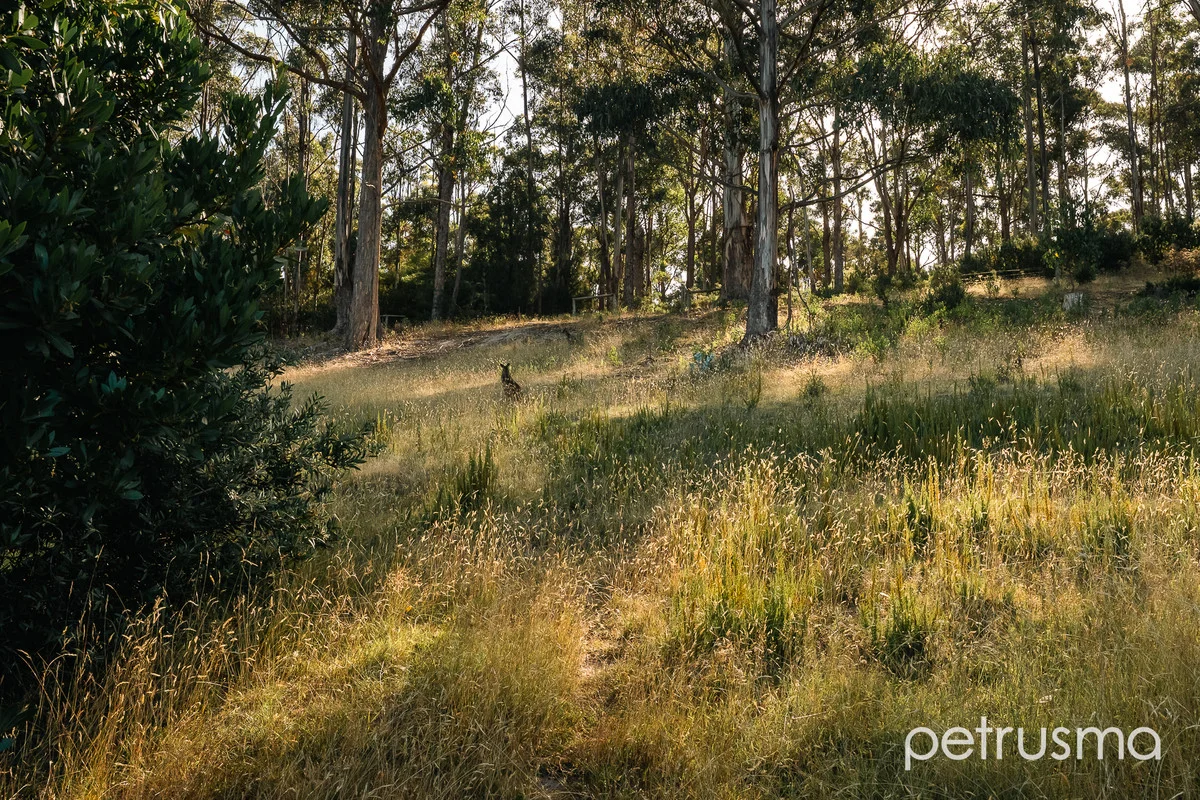 Additional image 30 of 31 Culbara Road, Electrona TAS 7054