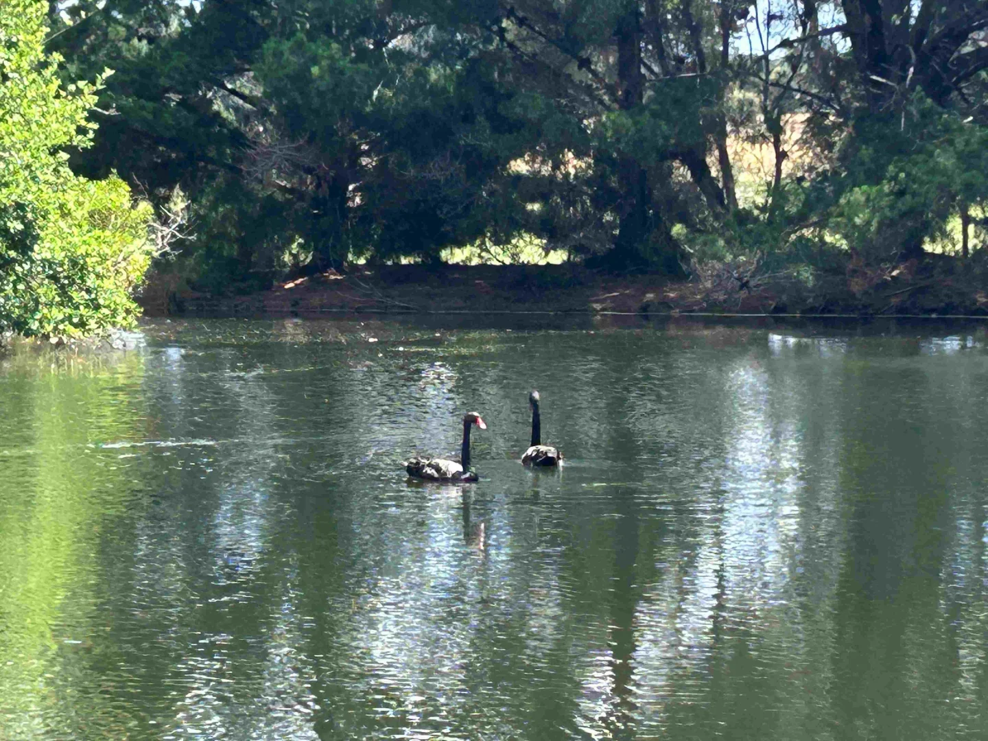 Additional image 25 of 112 Sandy Point Road, Balnarring VIC 3926