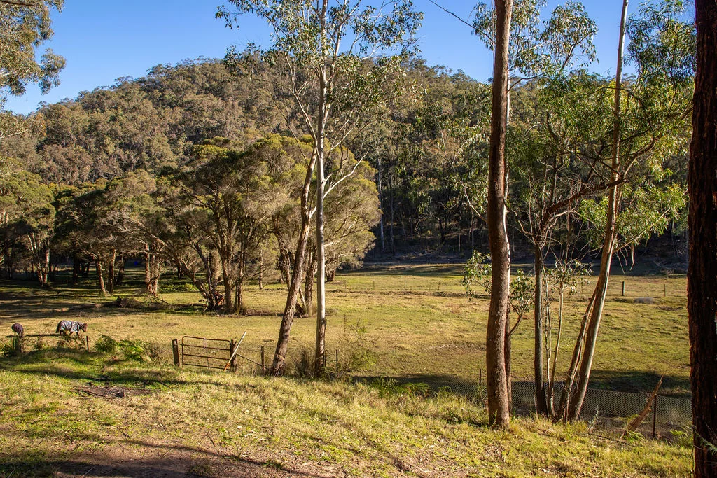 Additional image 20 of Lower Portland NSW 2756