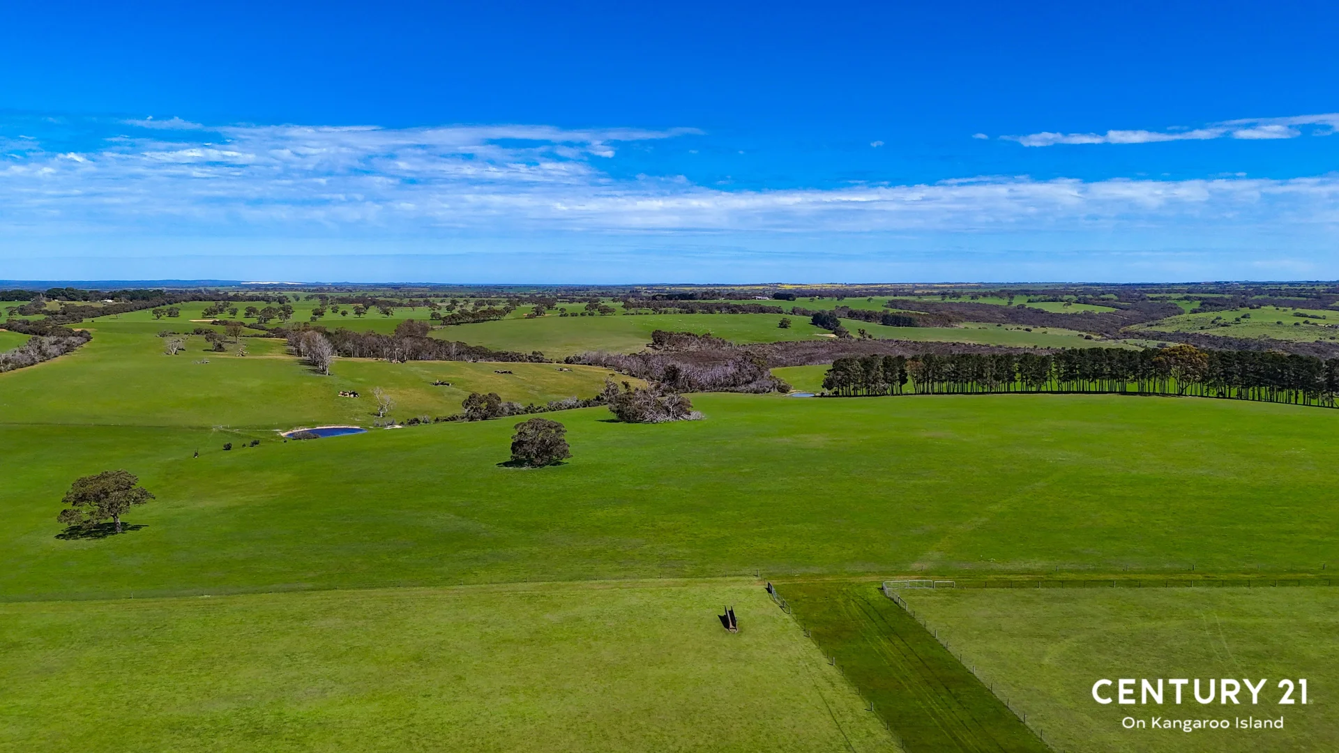 Additional image 15 of 2265 Playford Highway, Kohinoor SA 5223