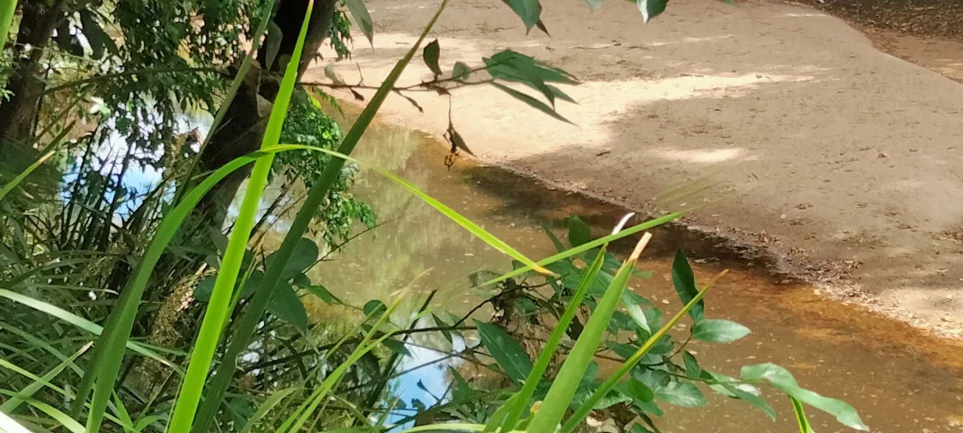 Additional image 23 of 3359 Lowmead Road, Lowmead QLD 4676