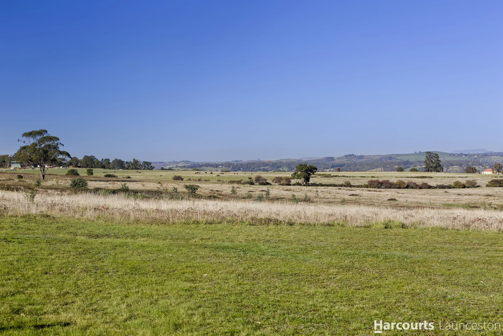 Additional image 6 of Stage 4 Cedar Grove Estate, St Leonards TAS 7250