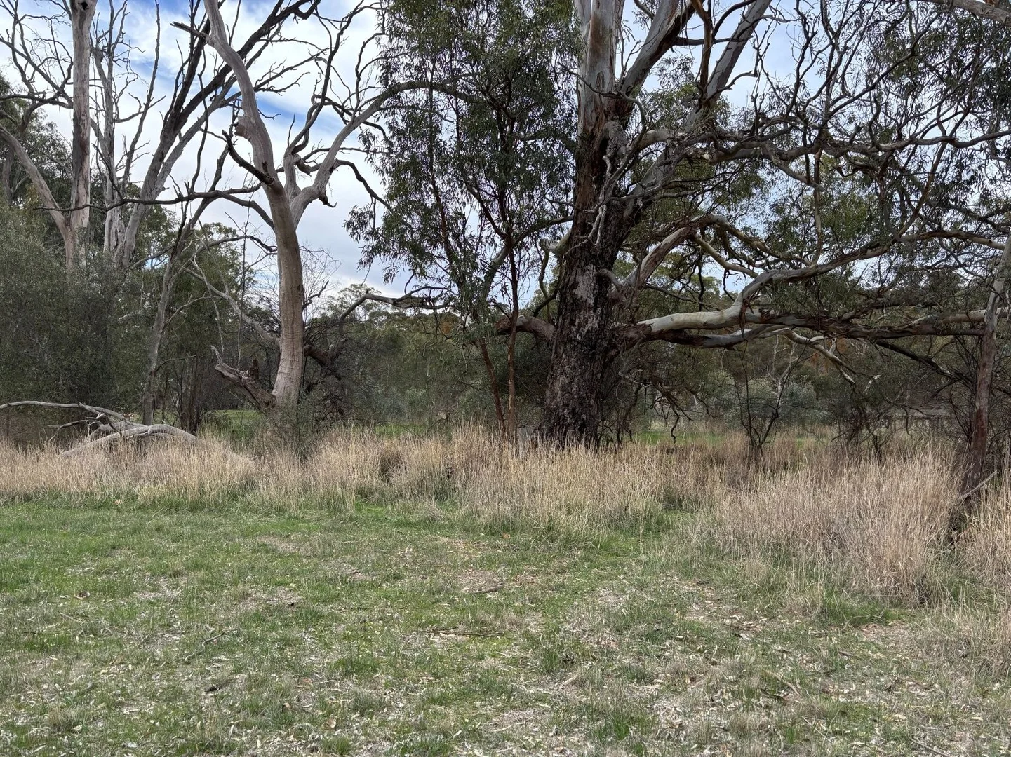Additional image 5 of 102 Sawmill Road, Sevenhill SA 5453