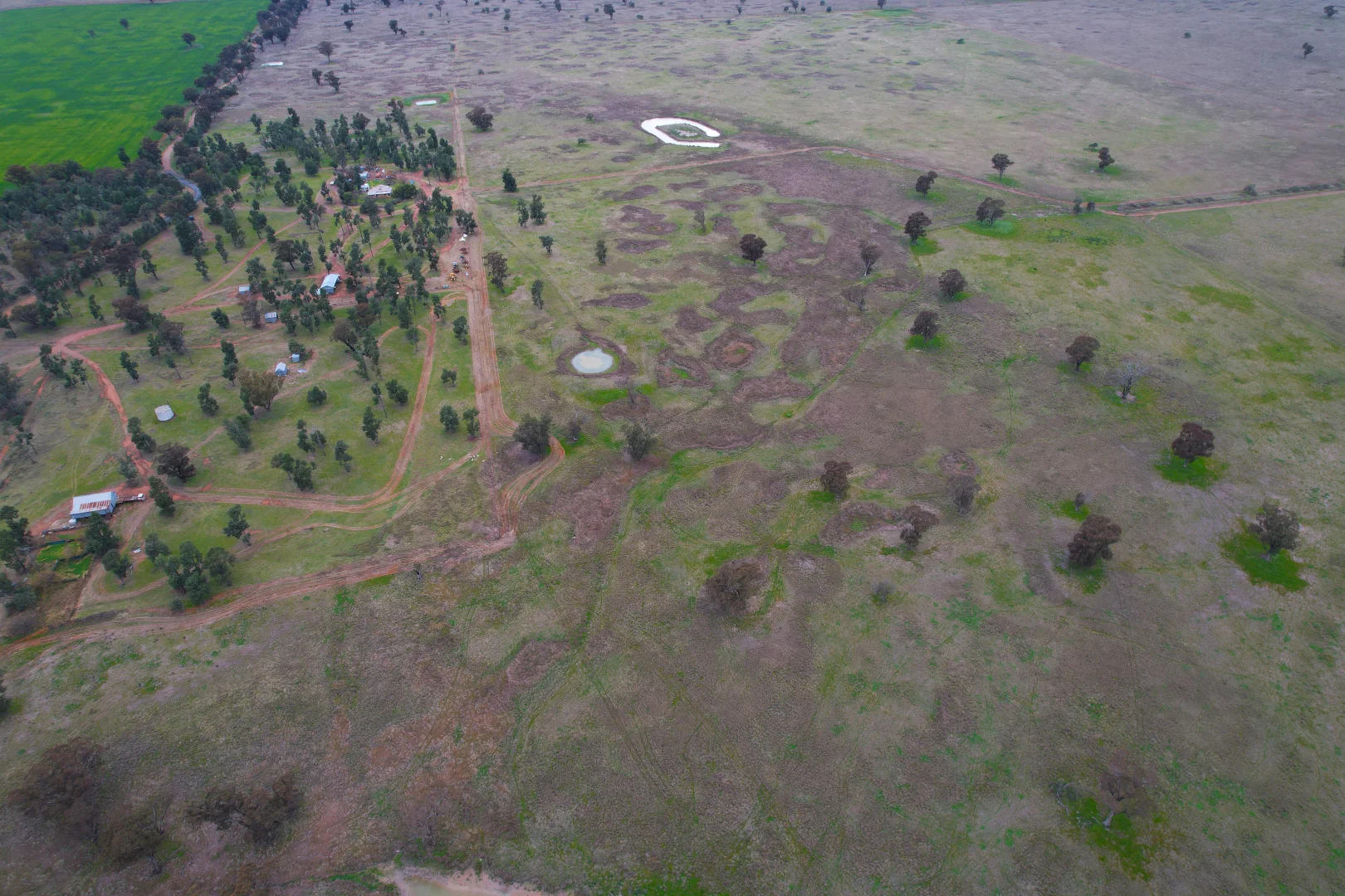 Additional image 10 of 'Weona' 307 Taylors Lane, Barmedman NSW 2668