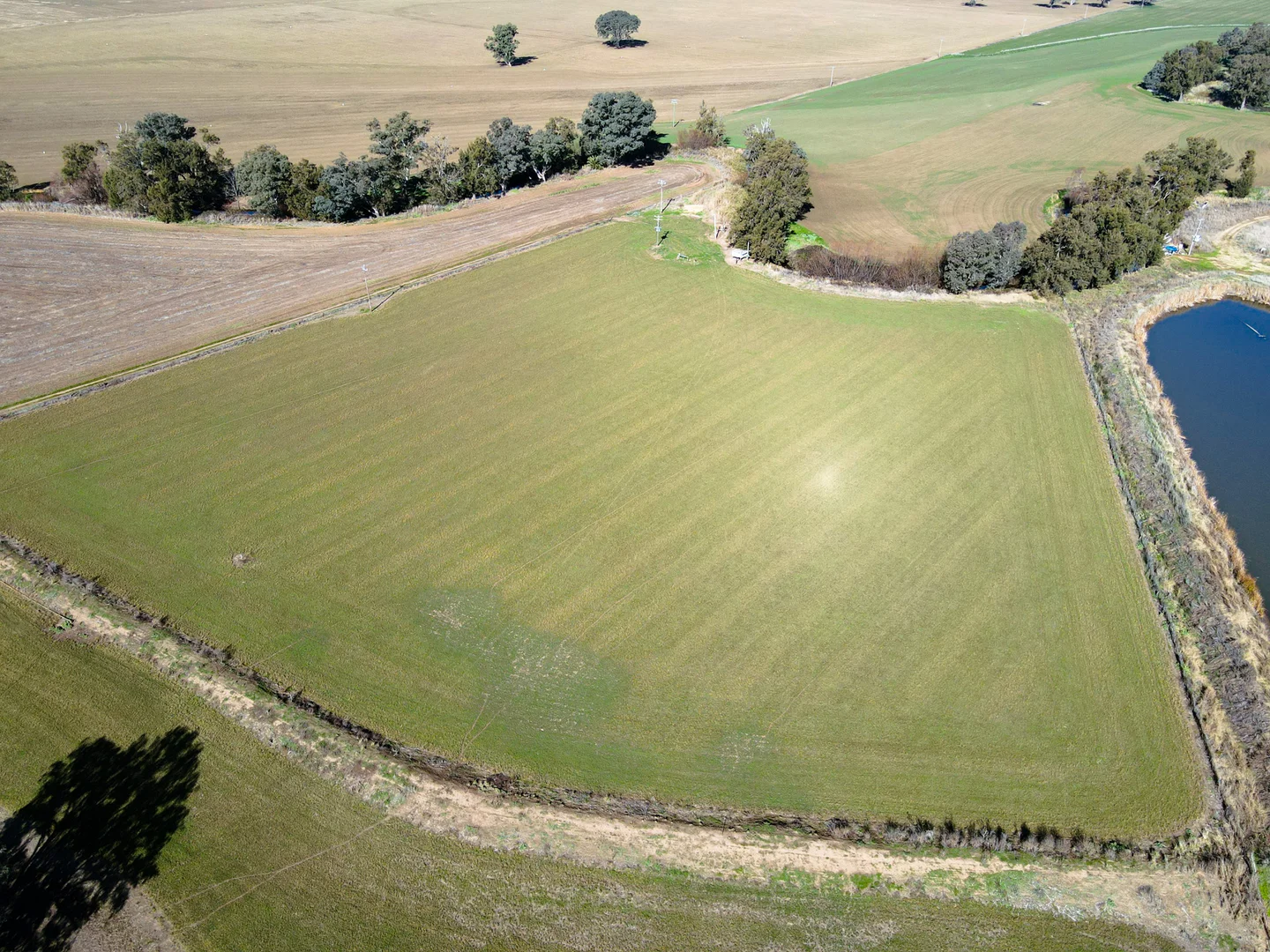 Additional image 32 of 349 Nangar Road, Canowindra NSW 2804