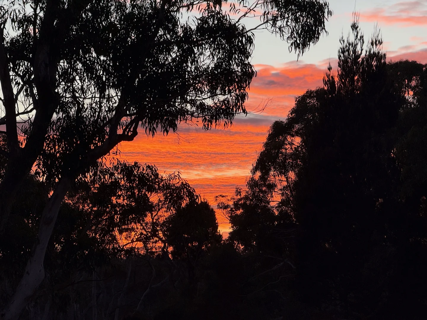 Additional image 37 of 385 Foxs Elbow Road, Braidwood NSW 2622