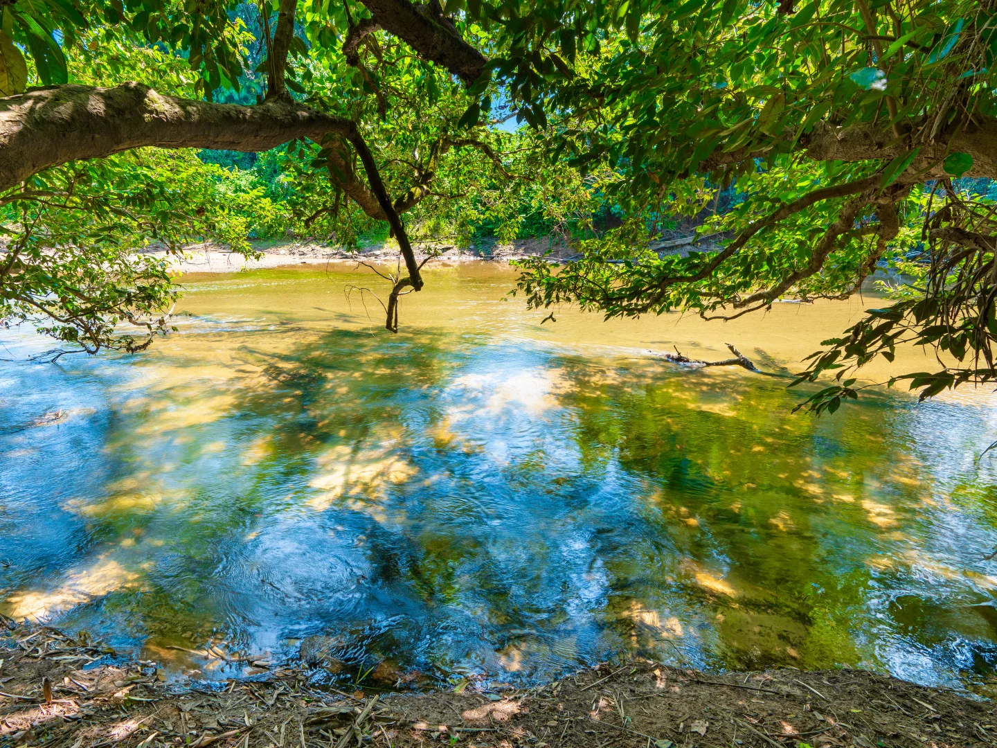 Additional image 25 of 10 Wildsoet Street, Tully QLD 4854