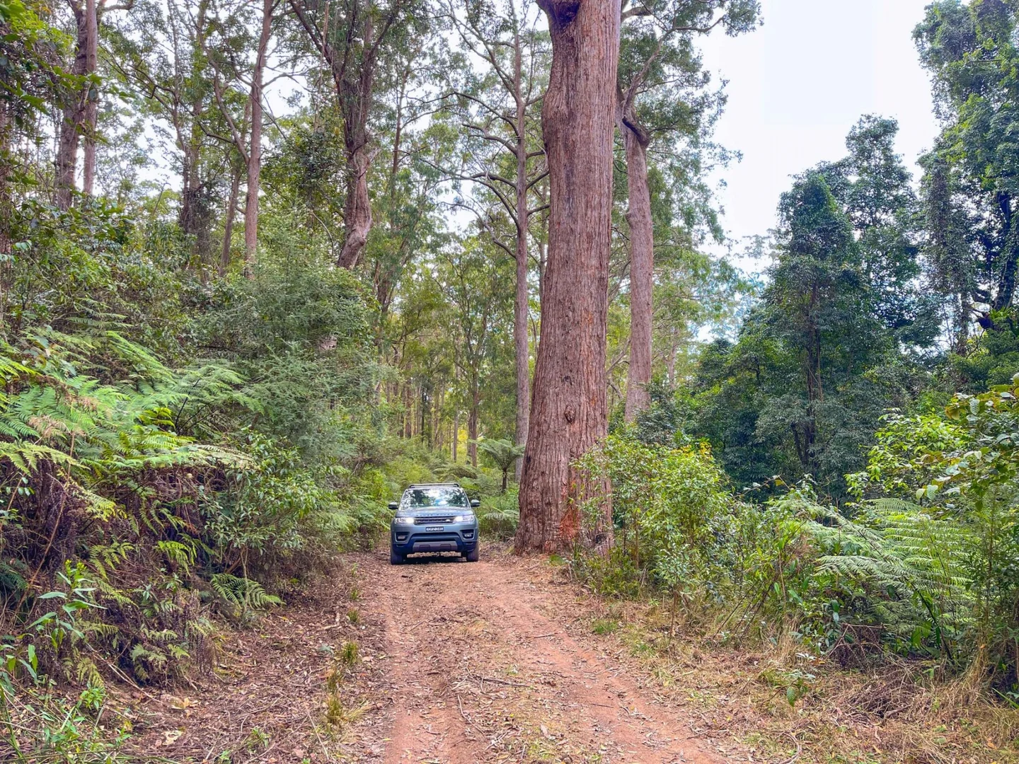 Additional image 25 of Lot 24 209 Tobins River Road, Mount Seaview NSW 2446