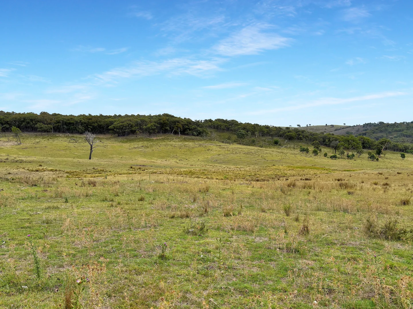 Additional image 3 of "Cummings Gap" Ullamalla road, Mudgee NSW 2850