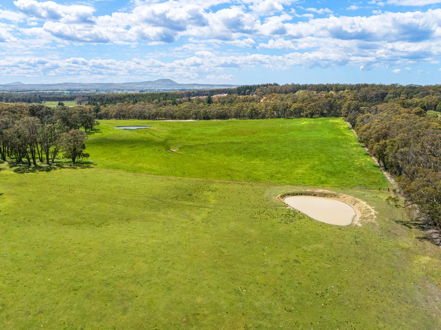 Additional image 4 of Napoleons VIC 3352