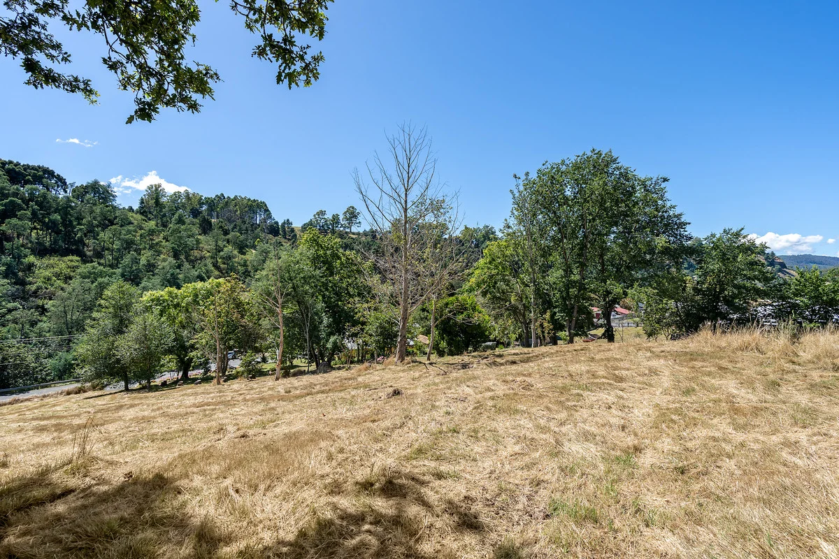 Additional image 7 of 2 Main Street, Derby TAS 7264