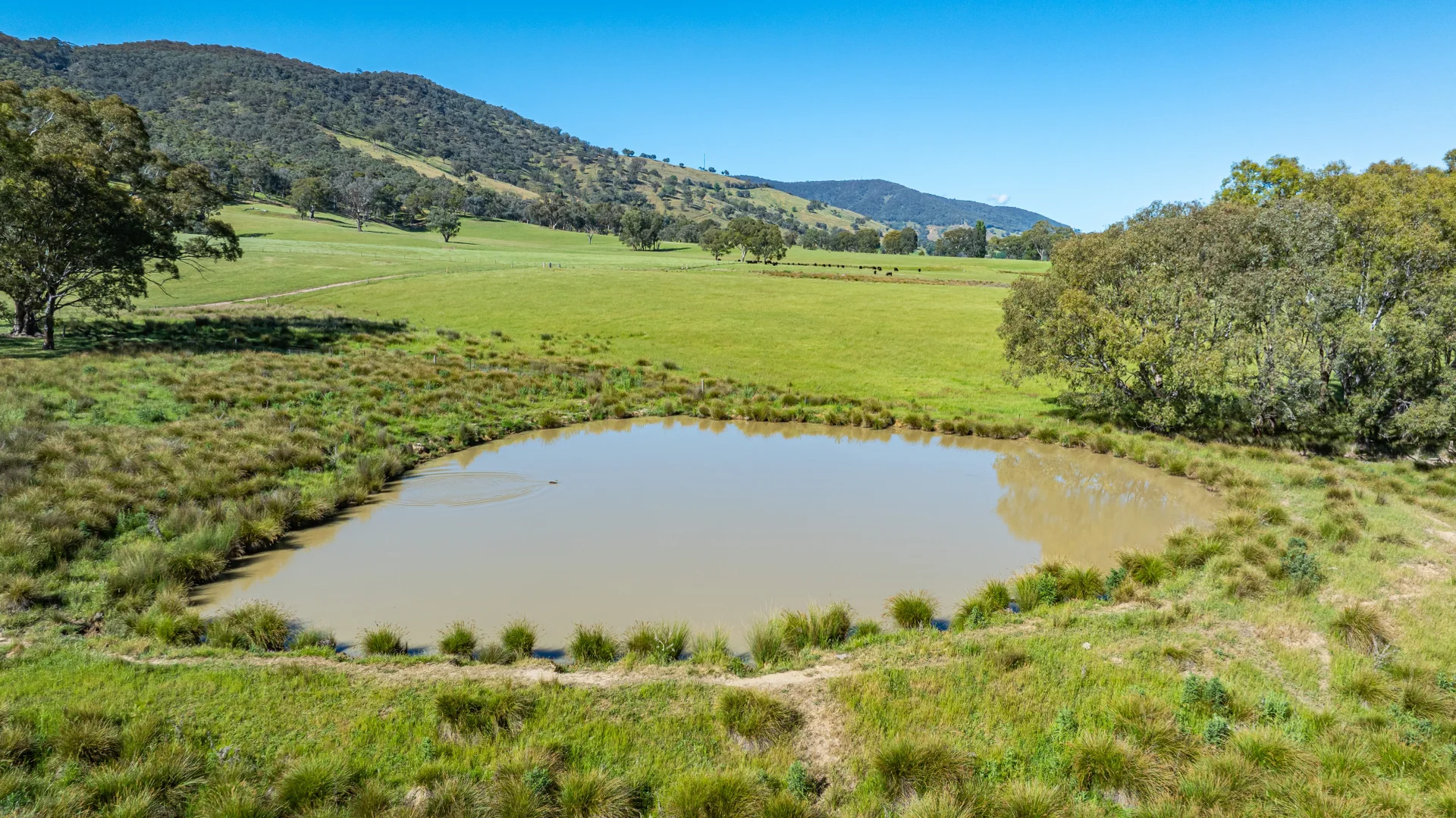 Additional image 16 of 60 Darmodys Road, Leneva VIC 3691