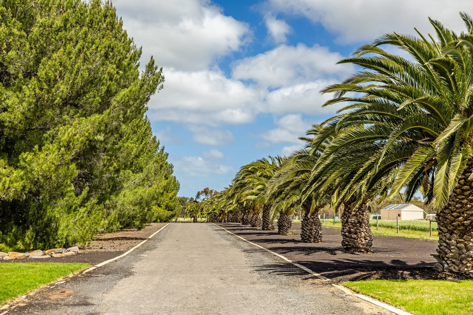 Additional image 4 of 726 Langhorne Creek Road, Belvidere SA 5255