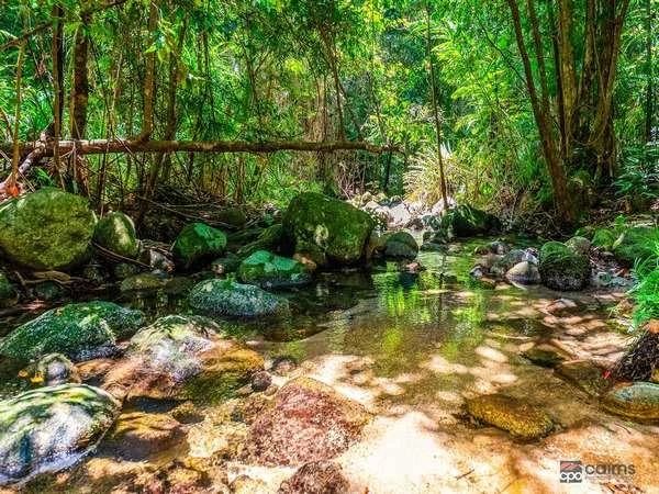 Additional image 32 of 176 Healy Road, Mirriwinni QLD 4871