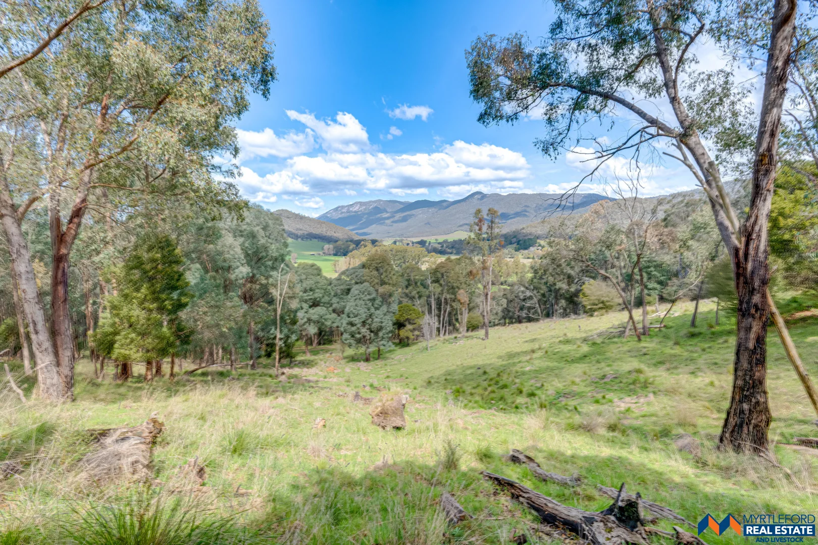 Additional image 33 of 330 Clemens Lane, Myrtleford VIC 3737