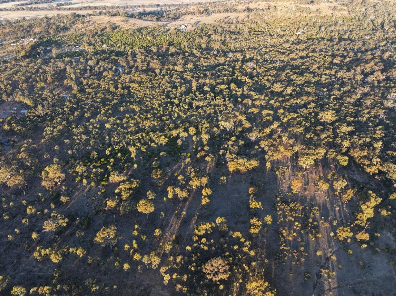 Additional image 6 of 299 Obriens Drive, McIntyre VIC 3472