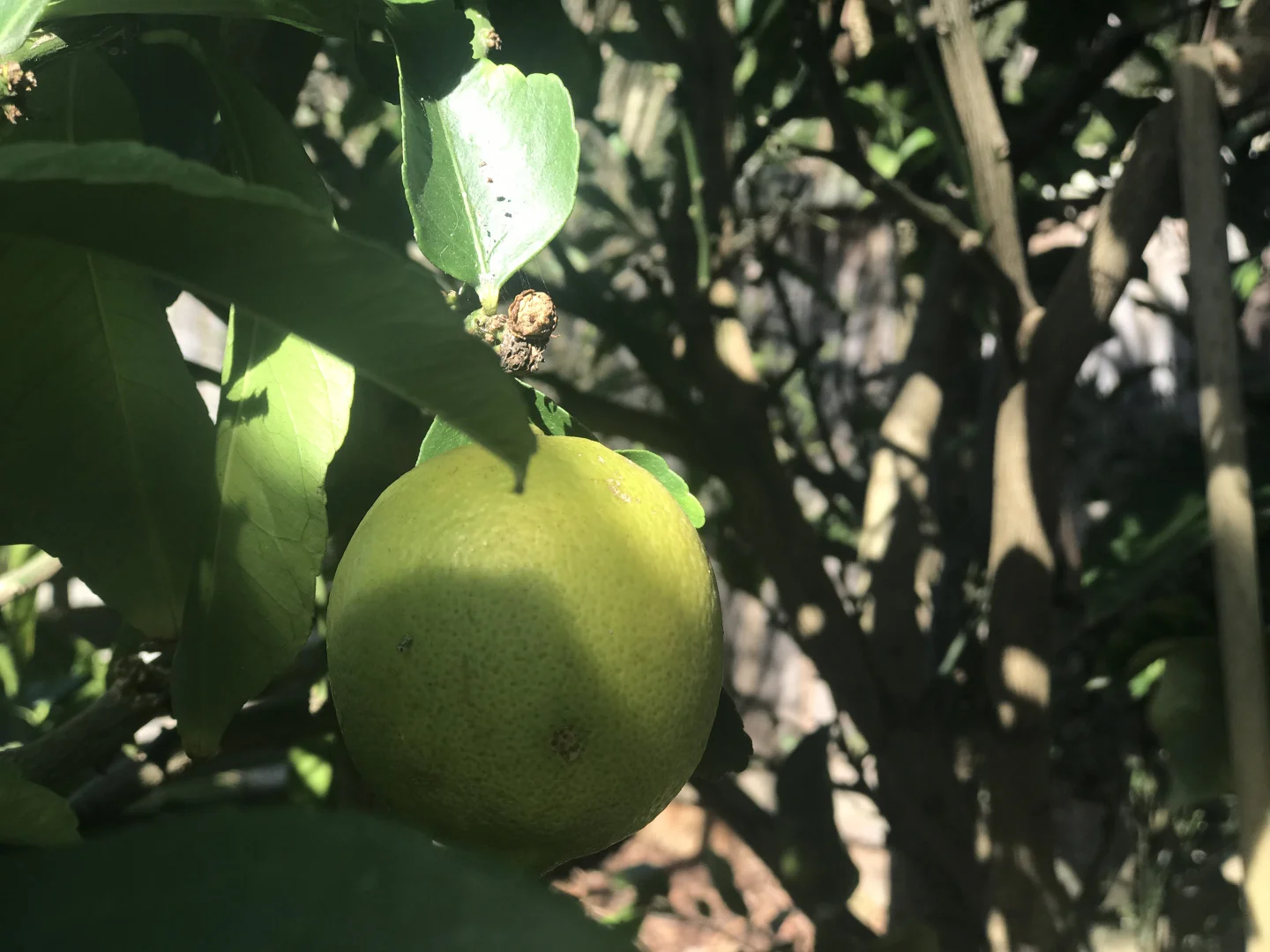 Additional image 10 of 126/249 High Street, Hastings VIC 3915