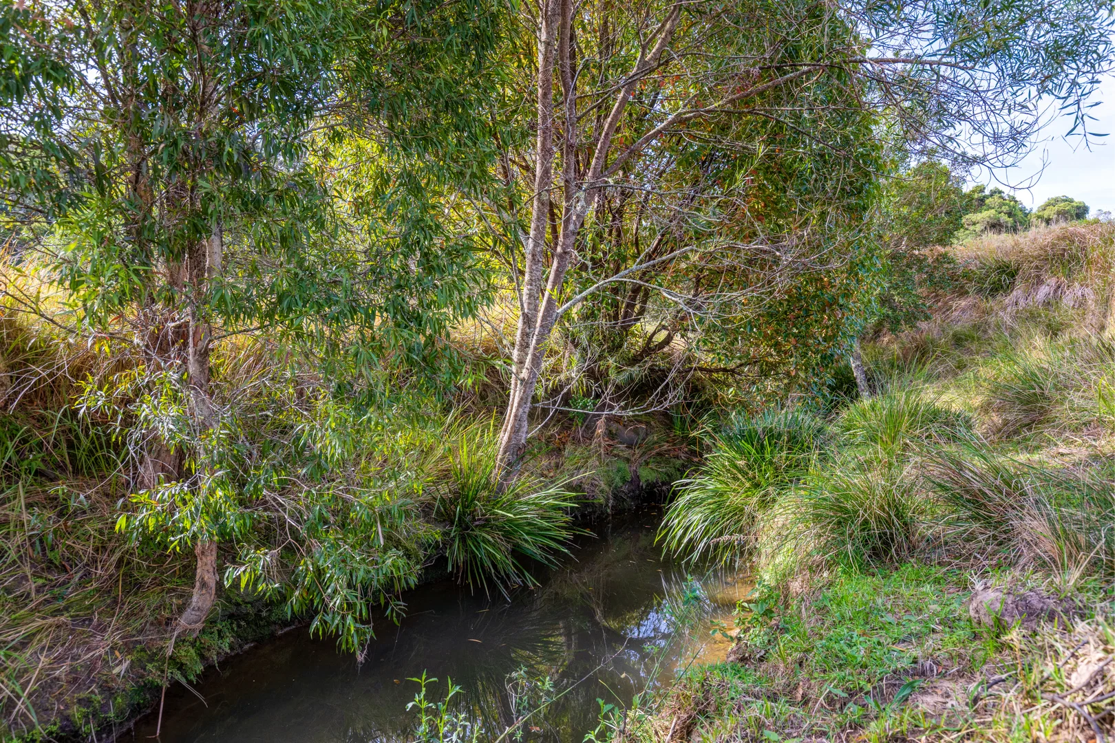 Additional image 13 of Lots/34 & 158 Salisbury Road, Dungog NSW 2420