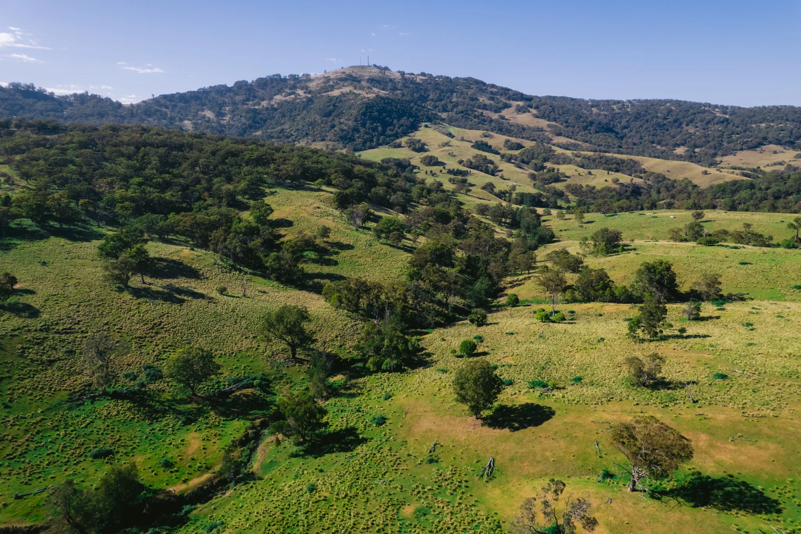 Additional image 3 of 7390 New England Hwy, Willow Tree NSW 2339