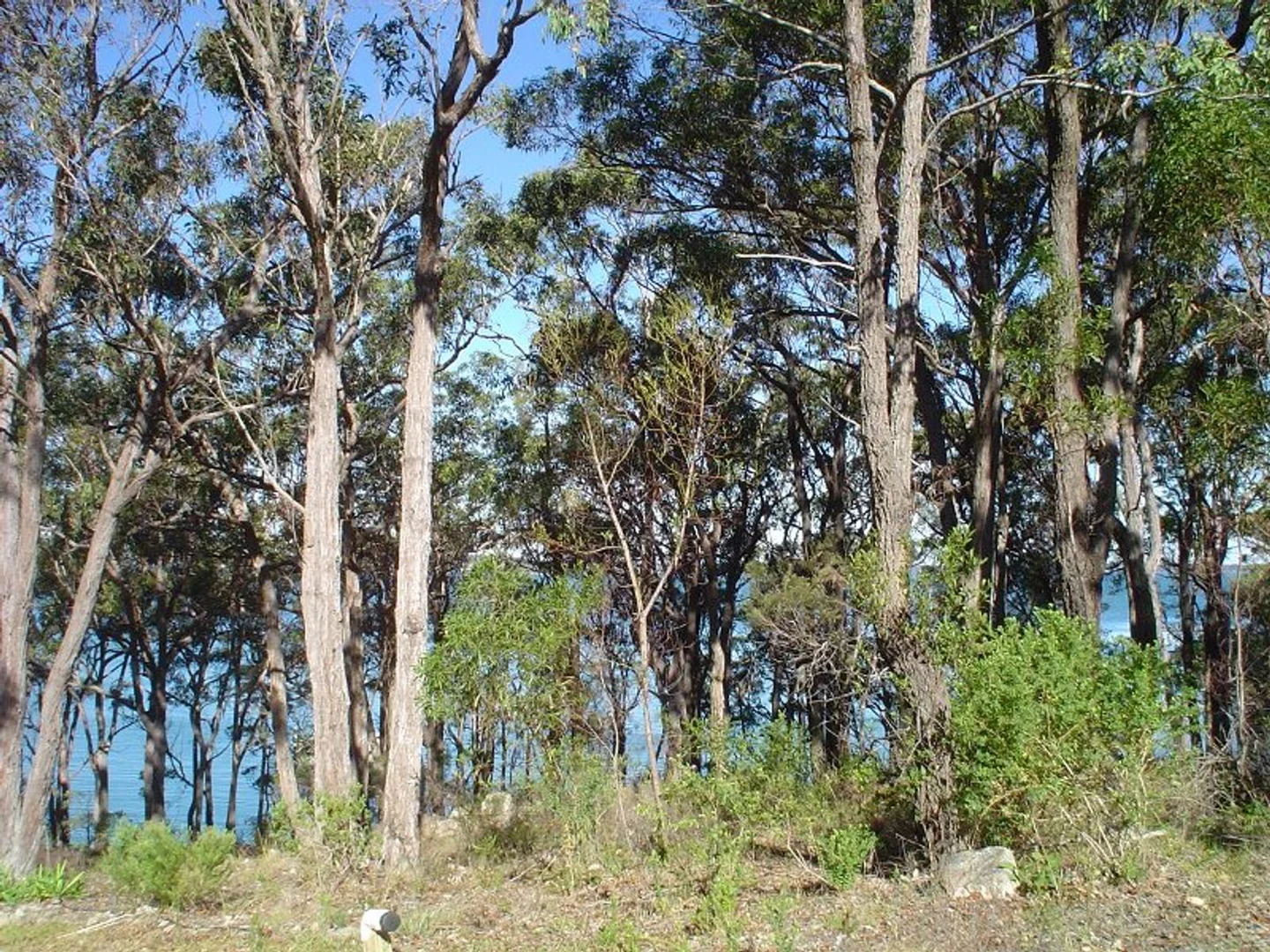 Additional image 9 of Lot 315 Glen Innes Road, North Arm Cove NSW 2324