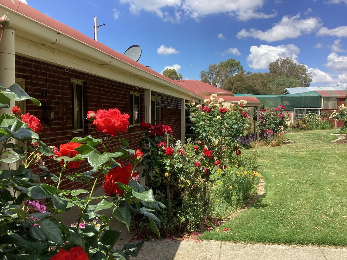 Additional image 20 of 226 Wilsons Road, Haddon VIC 3351