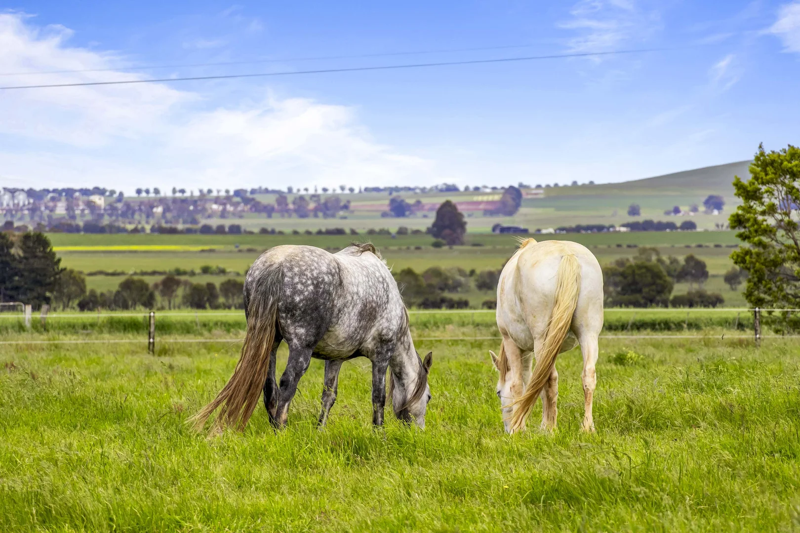 Additional image 22 of Lot 4 Ballarat-Maryborough Road, Miners Rest VIC 3352