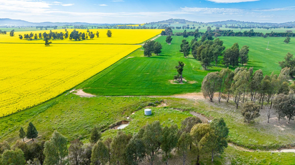 Additional image 8 of Olympic Highway, Yerong Creek NSW 2642