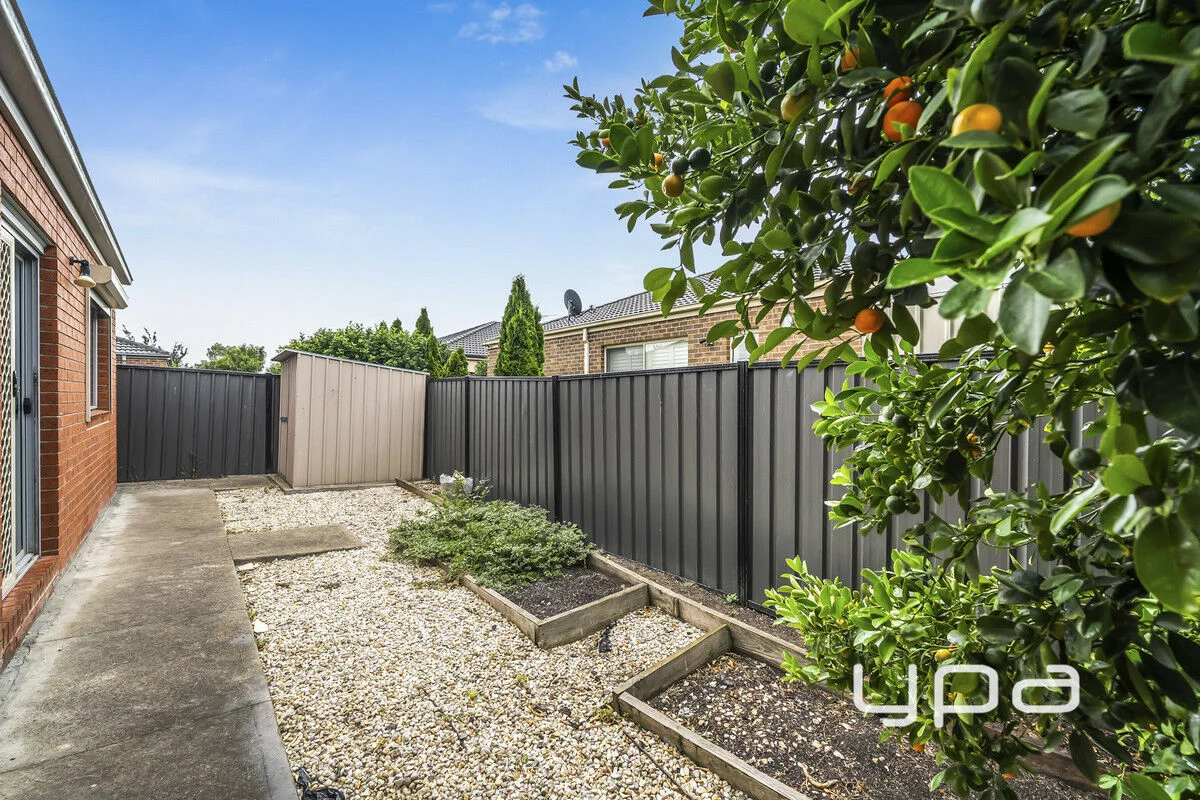 Additional image 21 of 14 Cobram Street, Tarneit VIC 3029