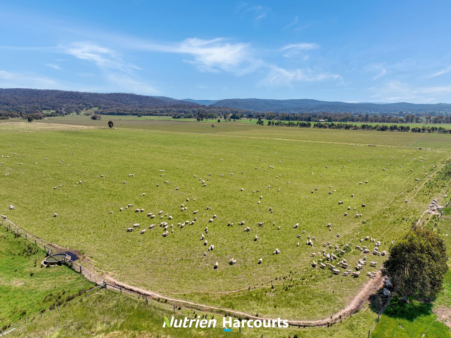 Additional image 16 of 480 Toongabbie-Cowwarr Road, Cowwarr VIC 3857