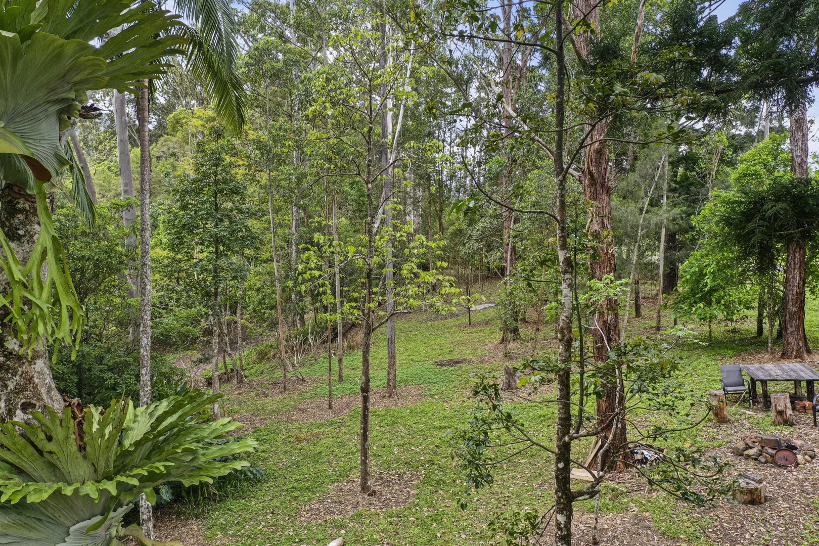 Additional image 5 of 158 Gungas Road, Nimbin NSW 2480