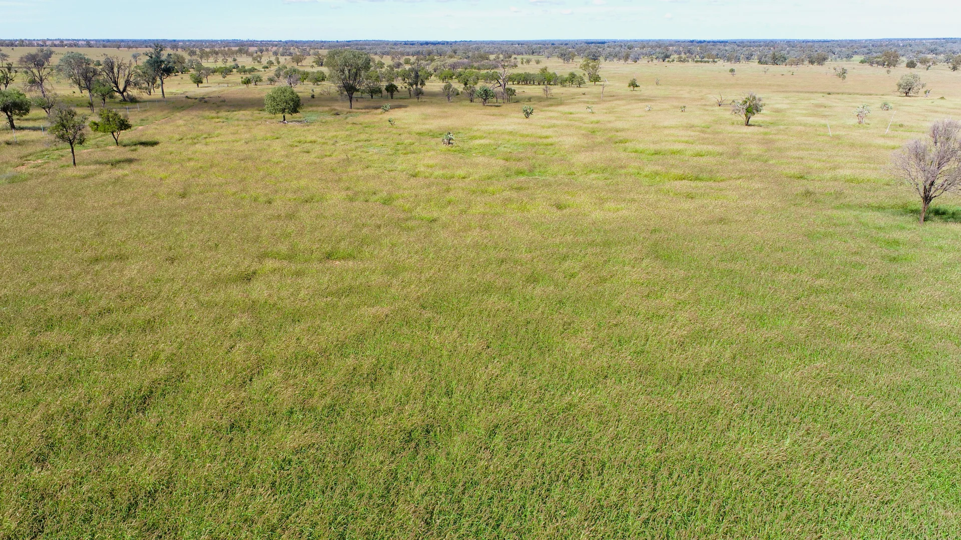 Additional image 21 of 'Glencoe' 28547 Carnarvon Highway, Roma QLD 4455