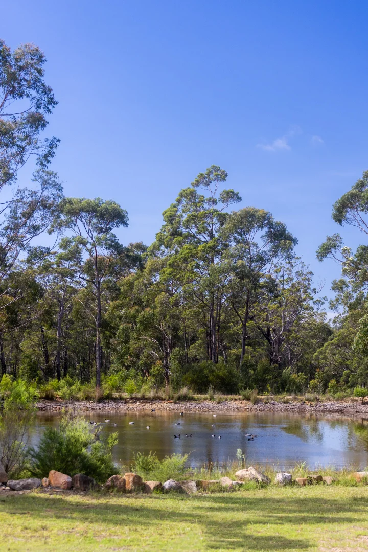 Additional image 27 of Lot 3, 315C Little Forest Road, Little Forest NSW 2538