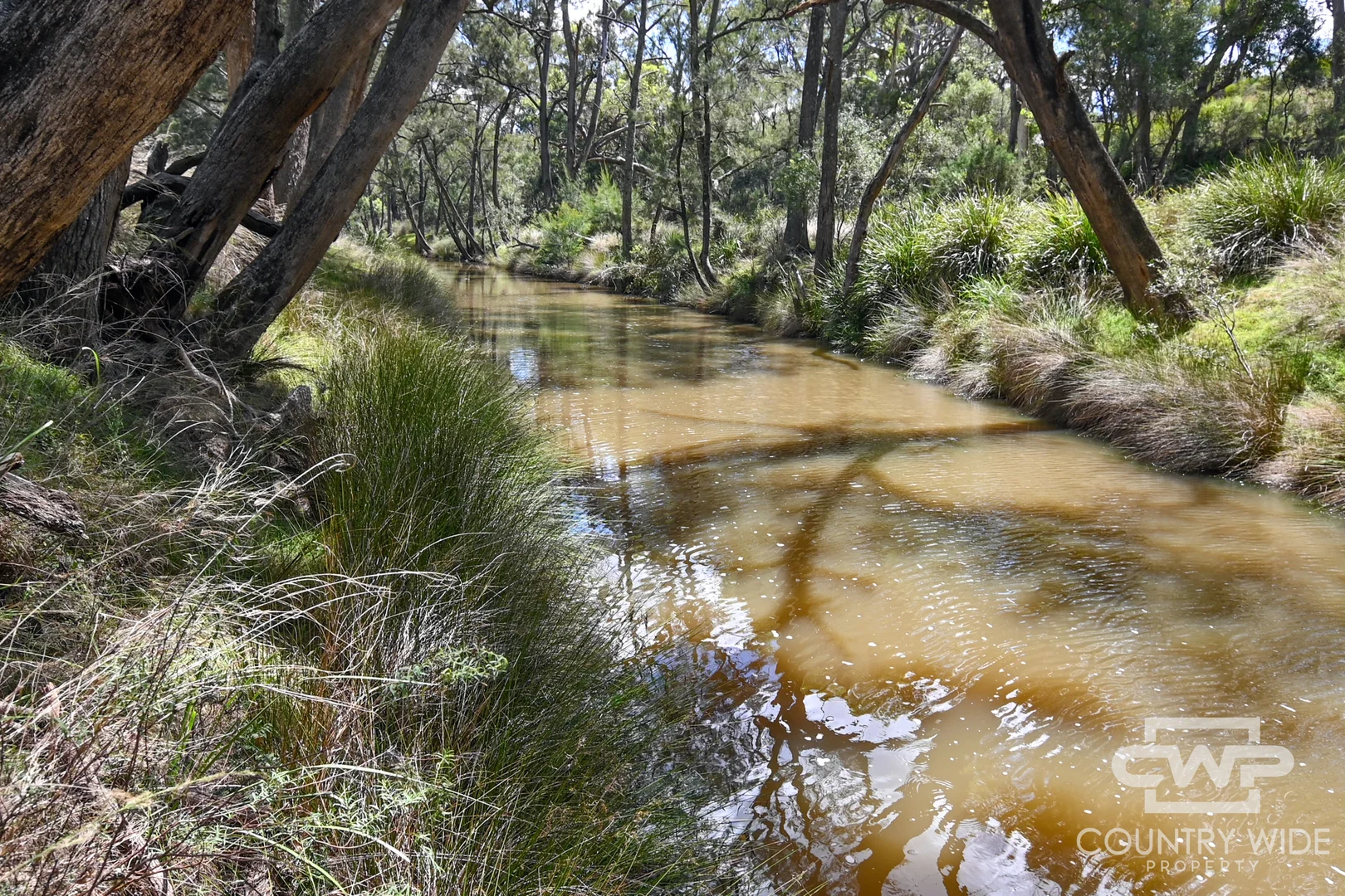 Additional image 10 of 82, 4108 Tent Hill Road, Emmaville NSW 2371