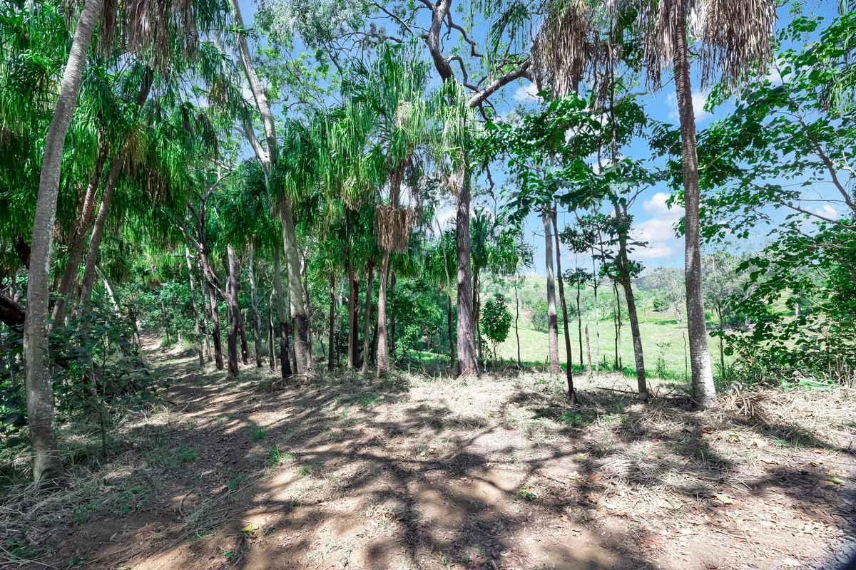 Additional image 26 of 130 bobongies Road, Habana QLD 4740