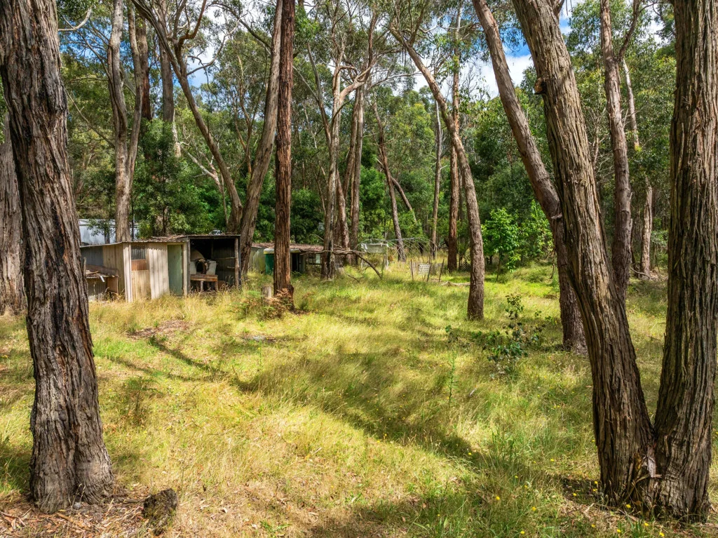 Additional image 5 of 93 Feeneys Lane, Benloch VIC 3435