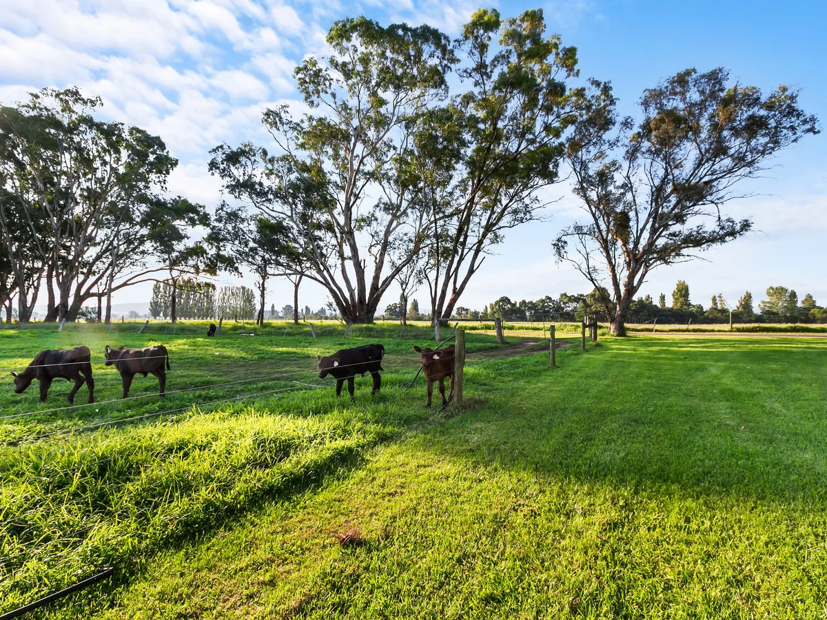 Additional image 32 of Boisdale-Valencia Creek Road, Boisdale VIC 3860