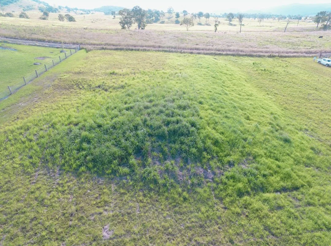 Additional image 3 of 9 Dangar Road, Gloucester NSW 2422